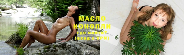 шишки Аркадак