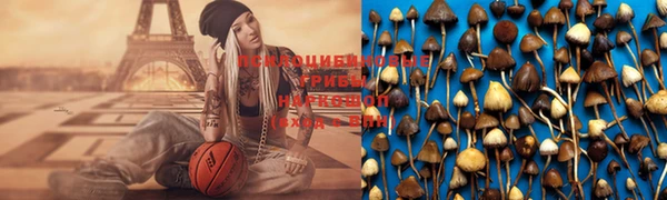 PSILOCYBIN Армянск