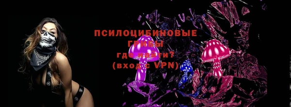 бошки Арсеньев