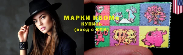 шишки Аркадак