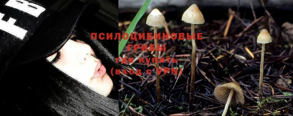 стафф Алексин