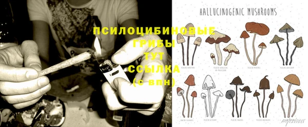 PSILOCYBIN Армянск